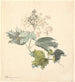 Kalkveds Viburnum - P C Skovgaard — Ansicht des Kunstwerks