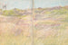 Residenz für M. und Mme Ben Heller, East Hampton, Long Island, New York, Strandseite - Victor Alfred Lundy — Ansicht des Kunstwerks