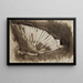 Alter Mann mit Vogelkleid - Victor Hugo — gerahmtes Bild an der Wand