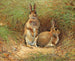 Lapins - Victor Stoetzner Lund — Ansicht des Kunstwerks