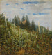 Sommerlicher Weinberg in Pillnitz - Carl Gustav Carus — Ansicht des Kunstwerks
