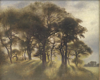 in der Nähe von Fortunen, Hirschpark von Jægersborg, nördlich von Kopenhagen - Vilhelm Hammershøi — Ansicht des Kunstwerks