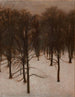 Parc Søndermarken im Winter - Vilhelm Hammershøi — Ansicht des Kunstwerks