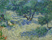 Olivenhain - Vincent van Gogh — Ansicht des Kunstwerks