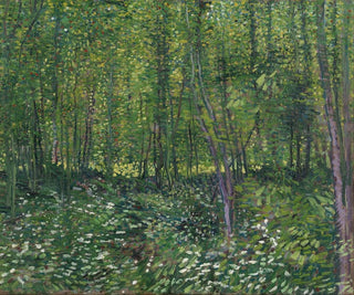 Vincent van Gogh - Trees and undergrowth.webp