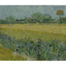 Reproduktion des Gemäldes Vue d'Arles avec des iris - Vincent van Gogh