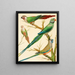 Conures mit weißen Ohren, Malabar-Papagei und Blaubeo-Papagei - W. A. Blakston — gerahmtes Bild an der Wand
