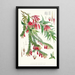 A Vaccinium Salignum Hf und T B Vaccinium Serpens Hf und T - Walter Hood Fitch — gerahmtes Bild an der Wand