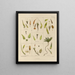 Botanischer Cryptogamen-Kunstdruck der Reise in die Antarktis der Schiffe HM Discovery Erebus und Terror in den Jahren 1839 Pl27 - Walter Hood Fitch — gerahmtes Bild an der Wand