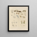 Botanischer Cryptogamen-Kunstdruck des Reiseberichts in die Antarktis der Schiffe HM Discovery Erebus und Terror in den Jahren 1839 Pl36 - Walter Hood Fitch — gerahmtes Bild an der Wand