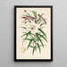 Lilium Browni - Walter Hood Fitch — gerahmtes Bild an der Wand