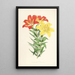 Lilium elegans var incomparabile - Walter Hood Fitch — gerahmtes Bild an der Wand