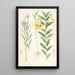 Lilium oxypetalum - Walter Hood Fitch — gerahmtes Bild an der Wand