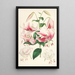 Lilium speciosum - Walter Hood Fitch — gerahmtes Bild an der Wand