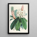 Les Rhododendrons de l'Himalaya de Sikkim Pl09 - Walter Hood Fitch — gerahmtes Bild an der Wand