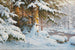 Winter im Wald - Walter Moras — Ansicht des Kunstwerks
