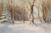 Winterwald - Walter Moras — Ansicht des Kunstwerks