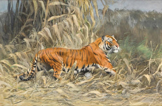 Wilhelm Kuhnert - Im Dschungel.webp