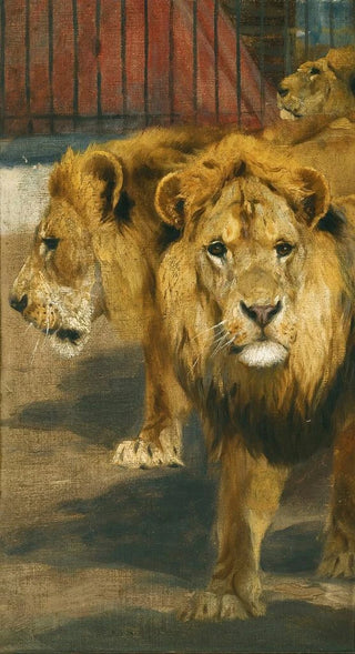 Wilhelm Kuhnert - Lions.webp
