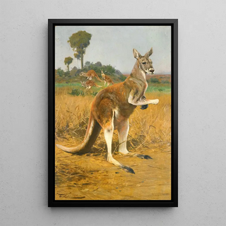 Wilhelm Kuhnert - Red Kangaroos In The Outback.webp