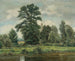Landschaft des Sumpfgebietes - Wilhelm Legler — Ansicht des Kunstwerks
