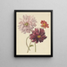 Dahlias - Willem Hekking — gerahmtes Bild an der Wand