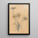 Marguerites blanches - Willem Wenckebach — gerahmtes Bild an der Wand