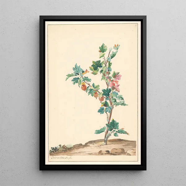 Willem van Leen - Een kruisbes in een landschap.webp