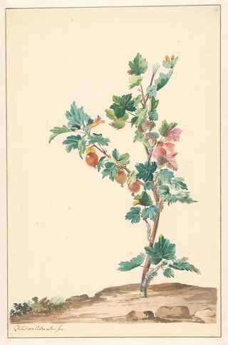 Willem van Leen - Een kruisbes in een landschap.webp