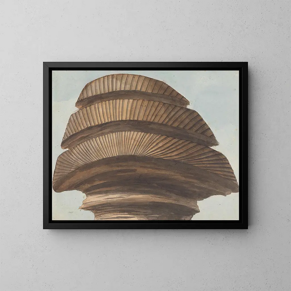 Rückansicht des Kopfes der Sphinx - Willey Reveley — gerahmtes Bild an der Wand
