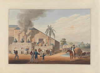 William A V Clark - Exterior of CuringHouse and Stills.webp