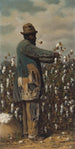 Cueilleur de coton - William Aiken Walker — Ansicht des Kunstwerks