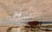 L'inondation dans le Darling, 1890 - William Charles Piguenit — Ansicht des Kunstwerks