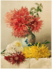 Chrysanthèmes - William Duffield — Ansicht des Kunstwerks