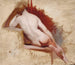 Studie einer sitzenden weiblichen Akt - William Etty — Ansicht des Kunstwerks