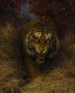 Tiger im Gras - William Huggins — Ansicht des Kunstwerks