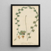Asplenium flabelliforme - William Jackson Hooker — gerahmtes Bild an der Wand