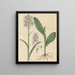 Habenaria frangée - William Jackson Hooker — gerahmtes Bild an der Wand
