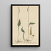Ophioglossum petiolatum - William Jackson Hooker — gerahmtes Bild an der Wand