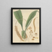Pholidota imbricata - William Jackson Hooker — gerahmtes Bild an der Wand