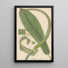 Pothos acaulis - William Jackson Hooker — gerahmtes Bild an der Wand