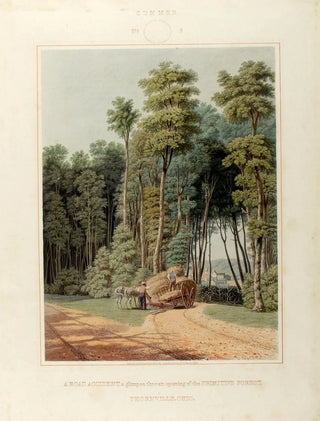 William James Bennett - A Road Accident a Glimpse thro an Opening of the Primitive Forest.webp
