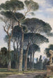 Pins parasols dans la Villa Borghèse Rome - William James Müller — Ansicht des Kunstwerks