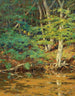Über den Swift Tamworth NH Fluss - William Johnson Bixbee — Ansicht des Kunstwerks