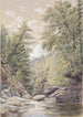 Catskill Clove à Palingsville - William Rickarby Miller — Ansicht des Kunstwerks