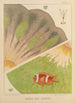 Korallenriff-Anemonen II - William Saville-Kent — Ansicht des Kunstwerks