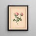 Blumen der Rose auf Stiel mit Blättern - William Wood Thackara — gerahmtes Bild an der Wand