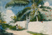 Ein Garten in Nassau - Winslow Homer — Ansicht des Kunstwerks