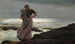 Eine Licht auf das Meer - Winslow Homer — Ansicht des Kunstwerks