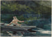 Lancer Nummer Zwei - Winslow Homer — Ansicht des Kunstwerks